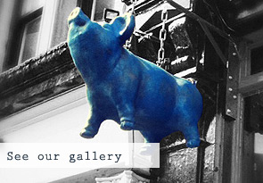 Blue Pig gallery